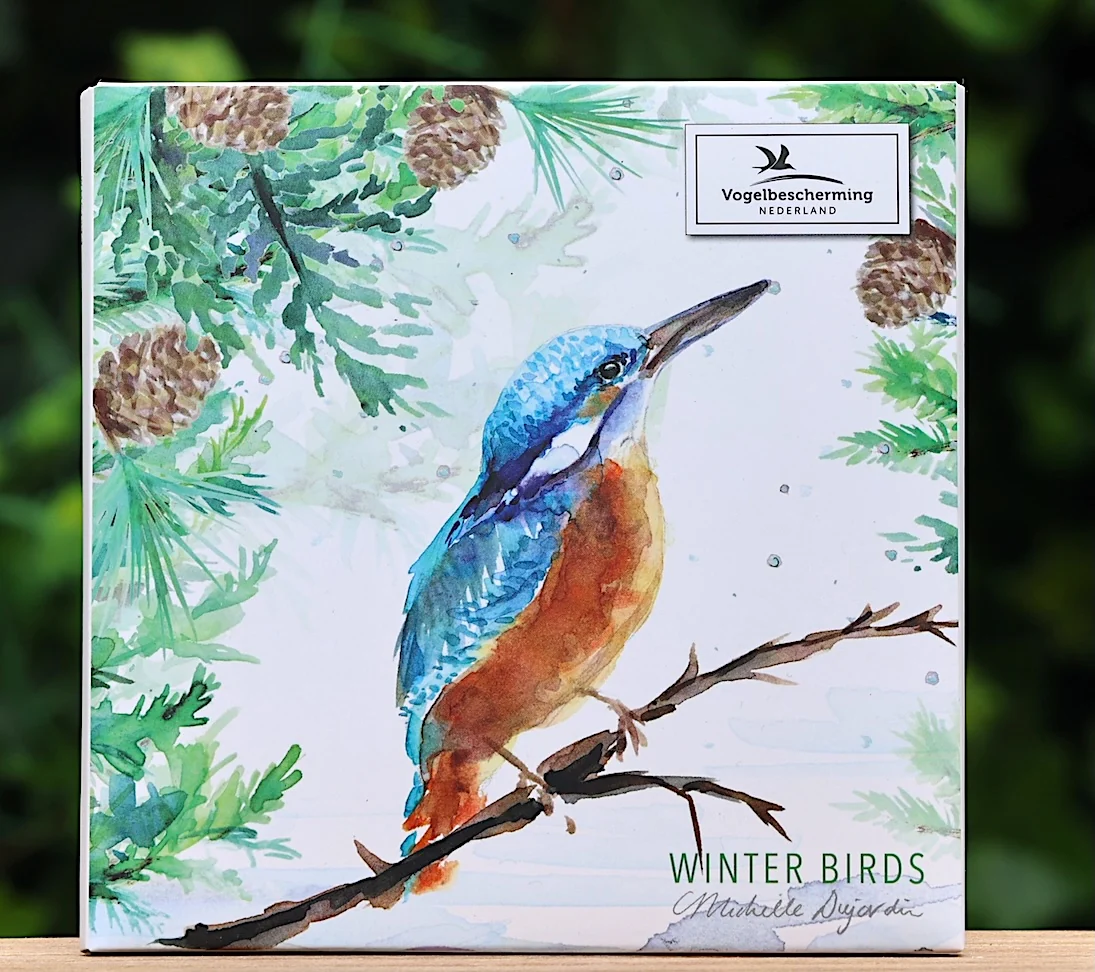 Wenskaarten 'Winter birds' van Michelle Dujardin met ijsvogel (2024) - Afbeelding 3